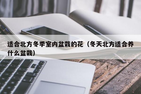 适合北方冬季室内盆栽的花（冬天北方适合养什么盆栽）