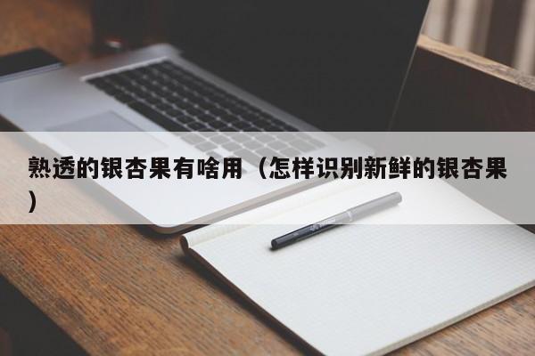 熟透的银杏果有啥用（怎样识别新鲜的银杏果）