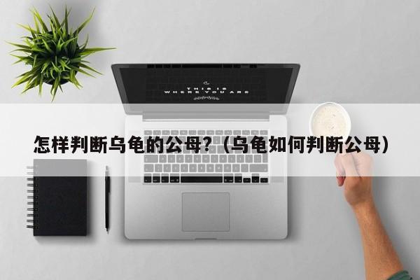 怎样判断乌龟的公母?（乌龟如何判断公母）