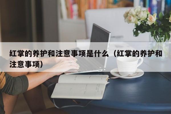 红掌的养护和注意事项是什么（红掌的养护和注意事项）