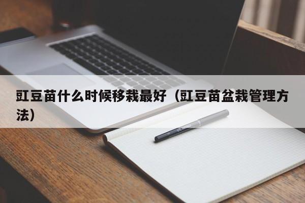 豇豆苗什么时候移栽最好（豇豆苗盆栽管理方法）